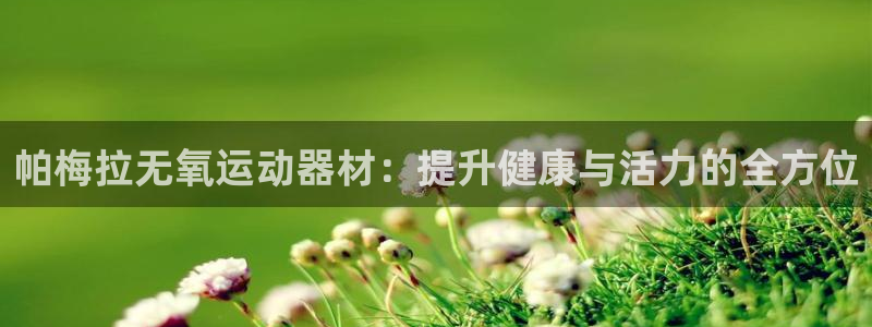 意昂4娱乐平台：帕梅拉无氧运动器材：提升健康与活力的全方位