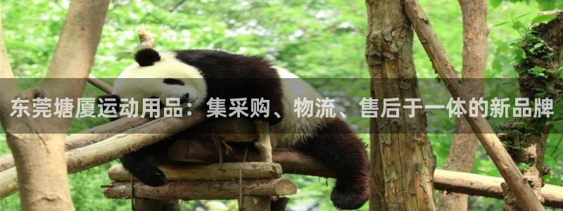 意昂体育4平台是正规平台吗安全吗：东莞塘厦运动用品：集采购、