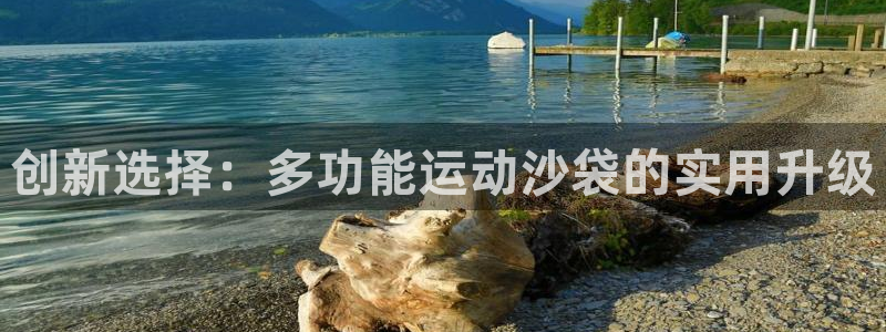 意昂体育4是干嘛的公司：创新选择：多功能运动沙袋的实用升级