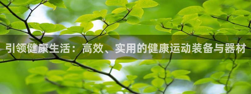 海南意昂体育4：引领健康生活：高效、实用的健康运动装备与器材