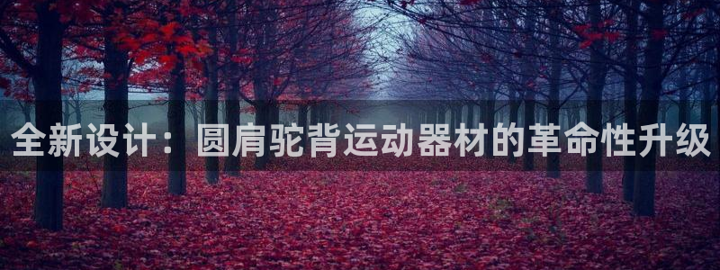 意昂4集团官网首页：全新设计：圆肩驼背运动器材的革命性升级