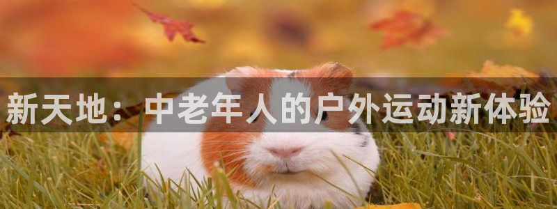 意昂4娱乐网站：新天地：中老年人的户外运动新体验