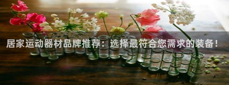 意昂4新能源：居家运动器材品牌推荐：选择最符合您需求