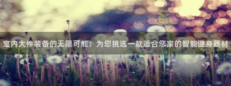 意昂体育4平台注册：室内大件装备的无限可能：为您挑选一款适合