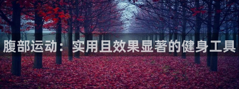 意昂4代理：腹部运动：实用且效果显著的健身工具