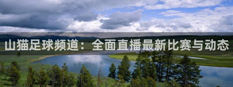 飞速体育nba直播：山猫足球频道：全面直播最新比赛与动态