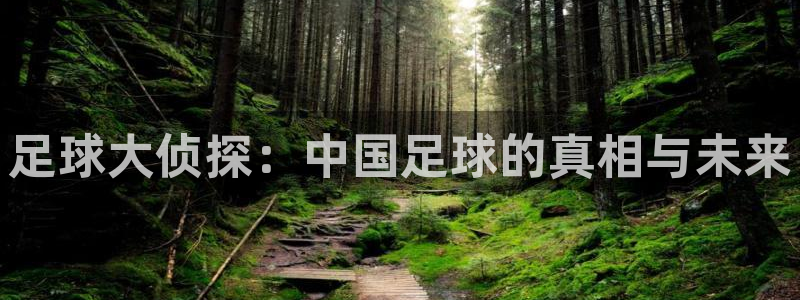 飞速直播体育nba在线直播：足球大侦探：中国足球的真相与未来