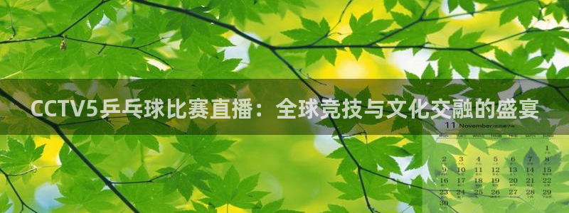 飞速足球直播吧：CCTV5乒乓球比赛直播：全球竞技与文化交融的盛宴