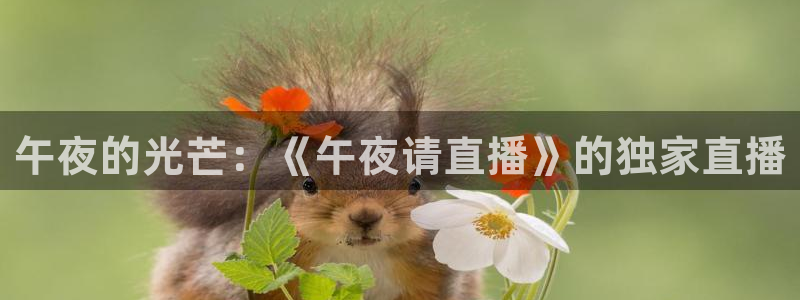 飞速体育直播nba免费观看：午夜的光芒：《午夜请直播》的独家直播