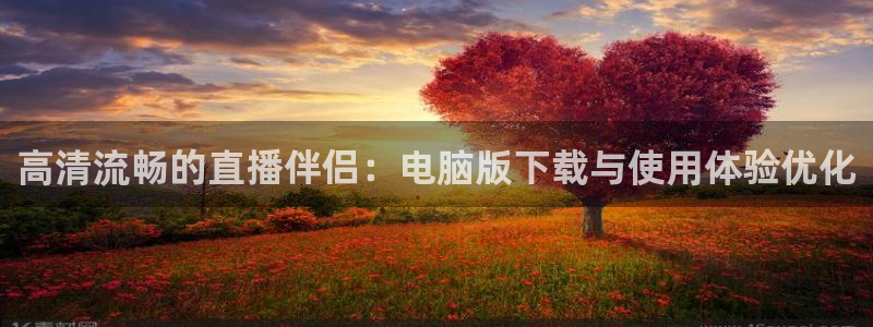 飞速足球直播官网：高清流畅的直播伴侣：电脑版下载与使用体验优化