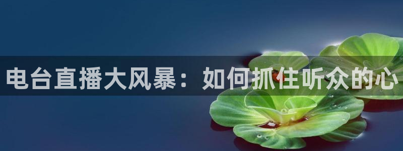飞速直播体育篮球：电台直播大风暴：如何抓住听众的心
