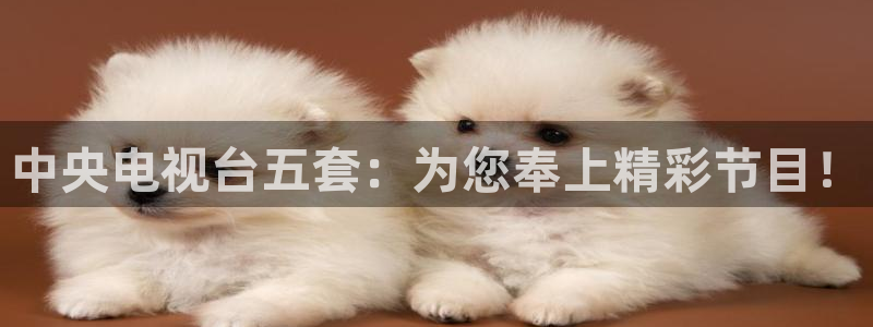 飞速直播吧jrs低调看直播nba：中央电视台五套：为您奉上精彩节目！